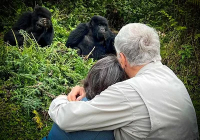 Gorilla Trekking Honeymoon in Uganda and Rwanda