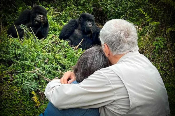 6 Days Uganda Gorilla Trekking and Cultural Honeymoon Experience (Luxury Romantic Escape)