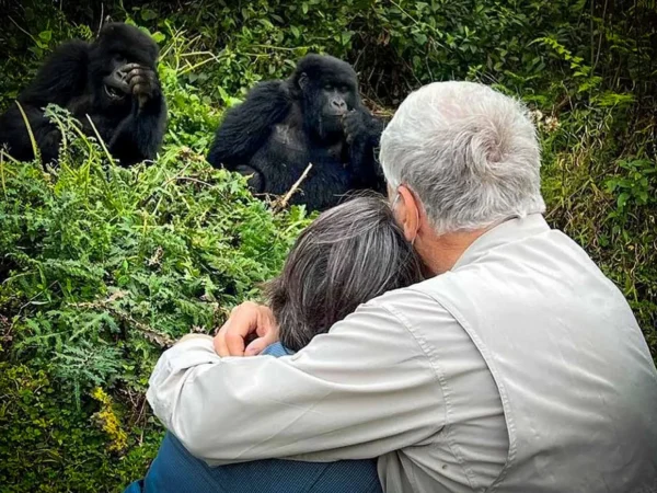 6 Days Uganda Gorilla Trekking and Cultural Honeymoon Experience (Luxury Romantic Escape)