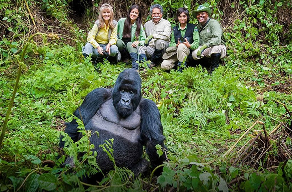 Romantic African honeymoon safari experience