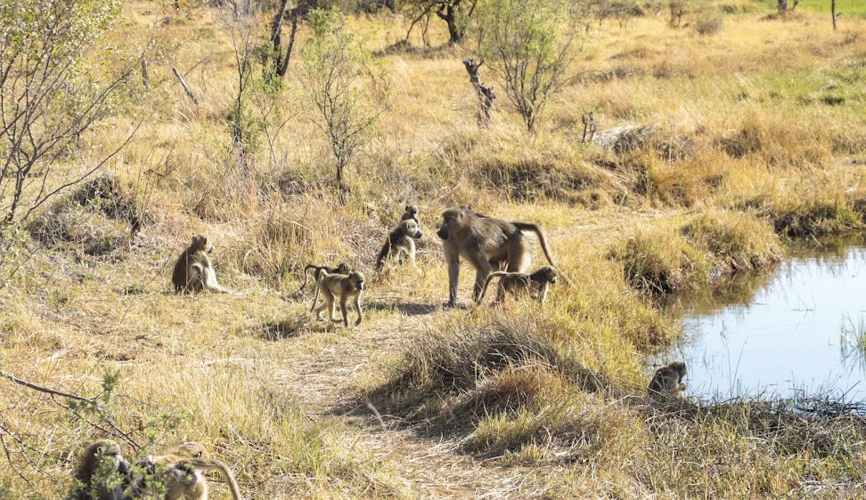 Best Top Romantic Destinations in Africa