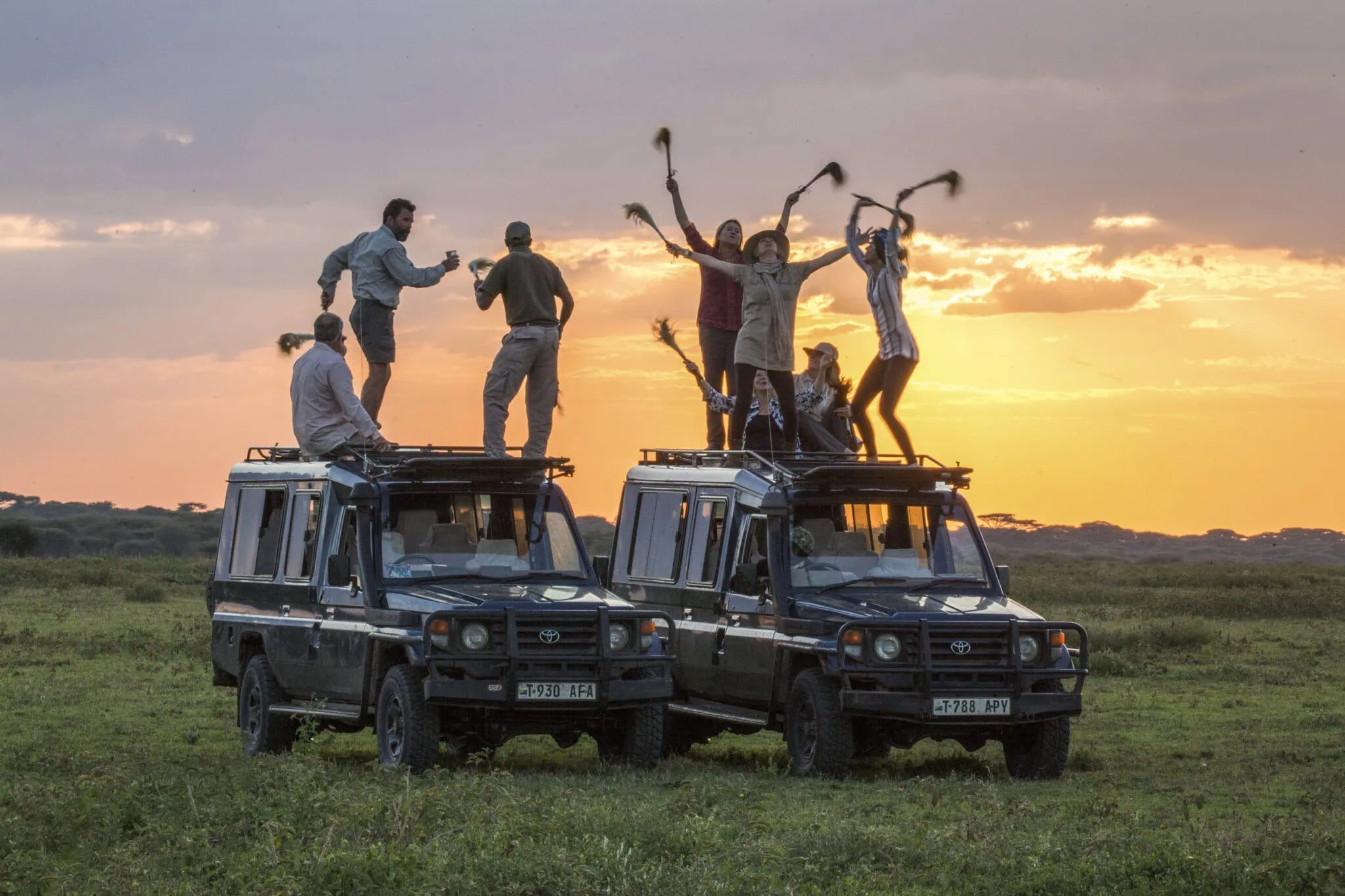 Honeymoon safari experience in Tanzania