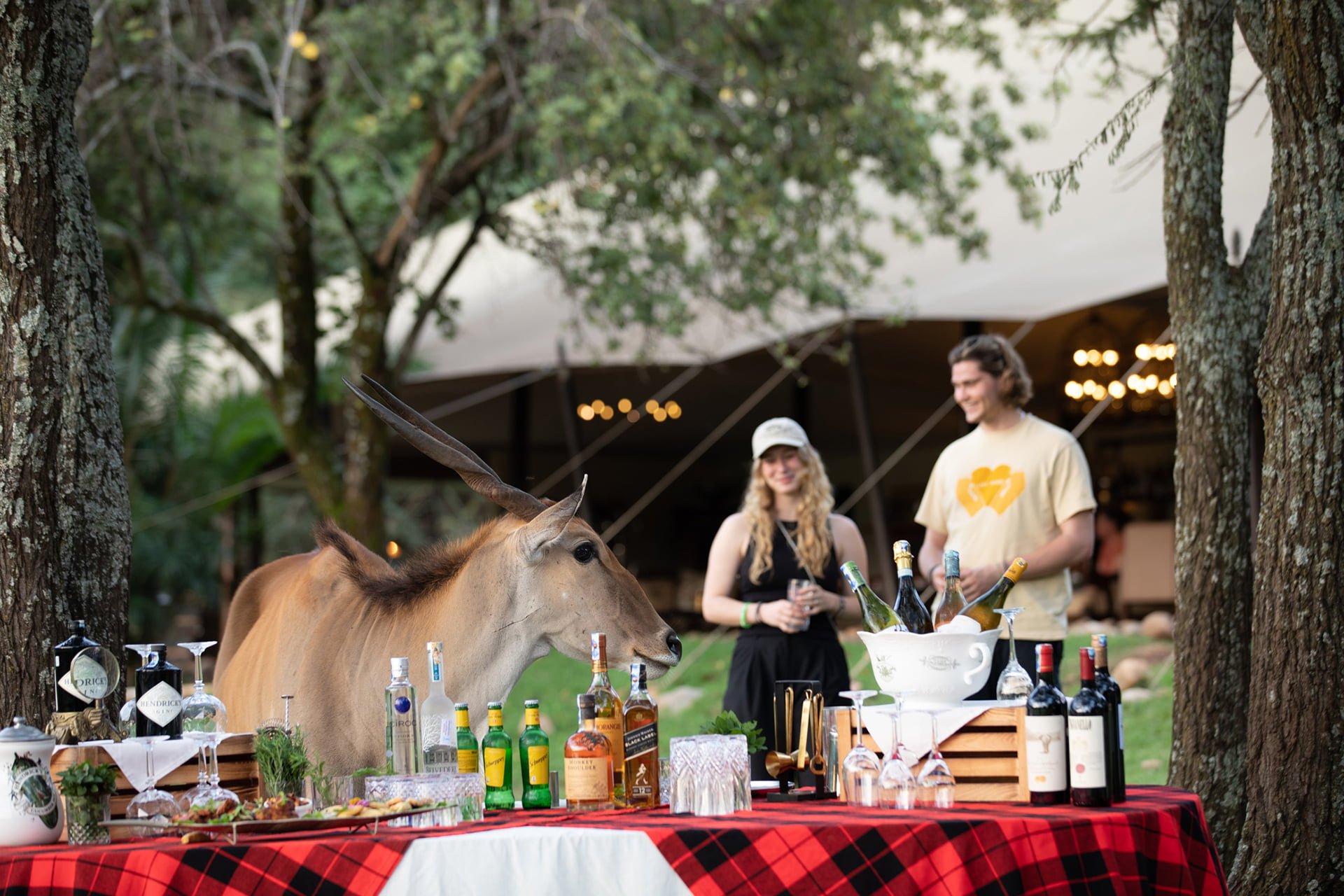 Luxury honeymoon safari sundowners Africa