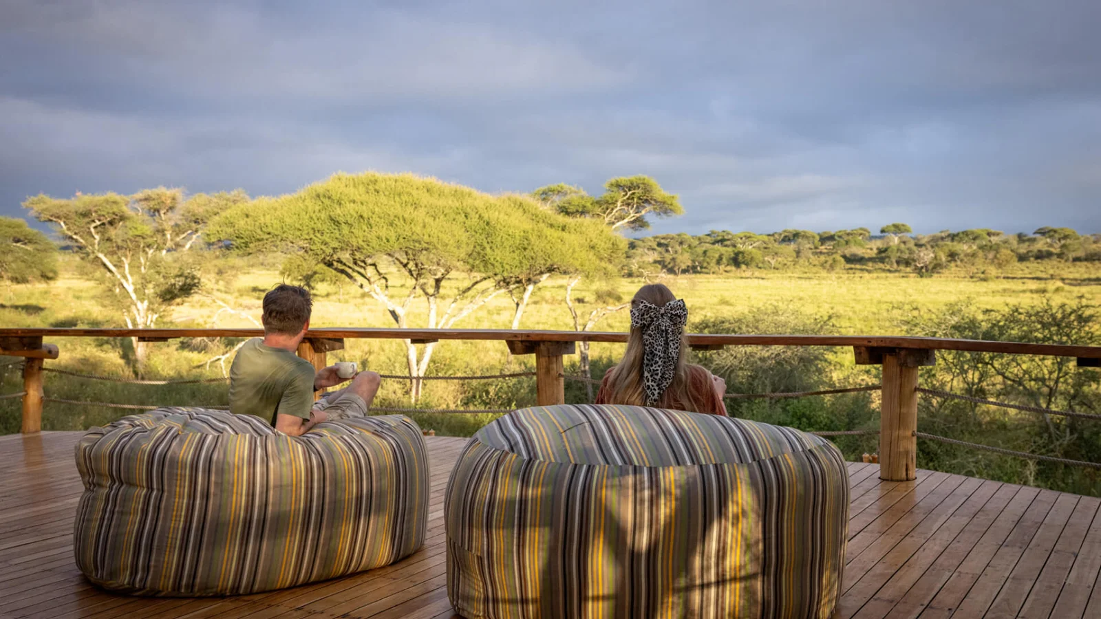 African Safari Honeymoon scenery in the park