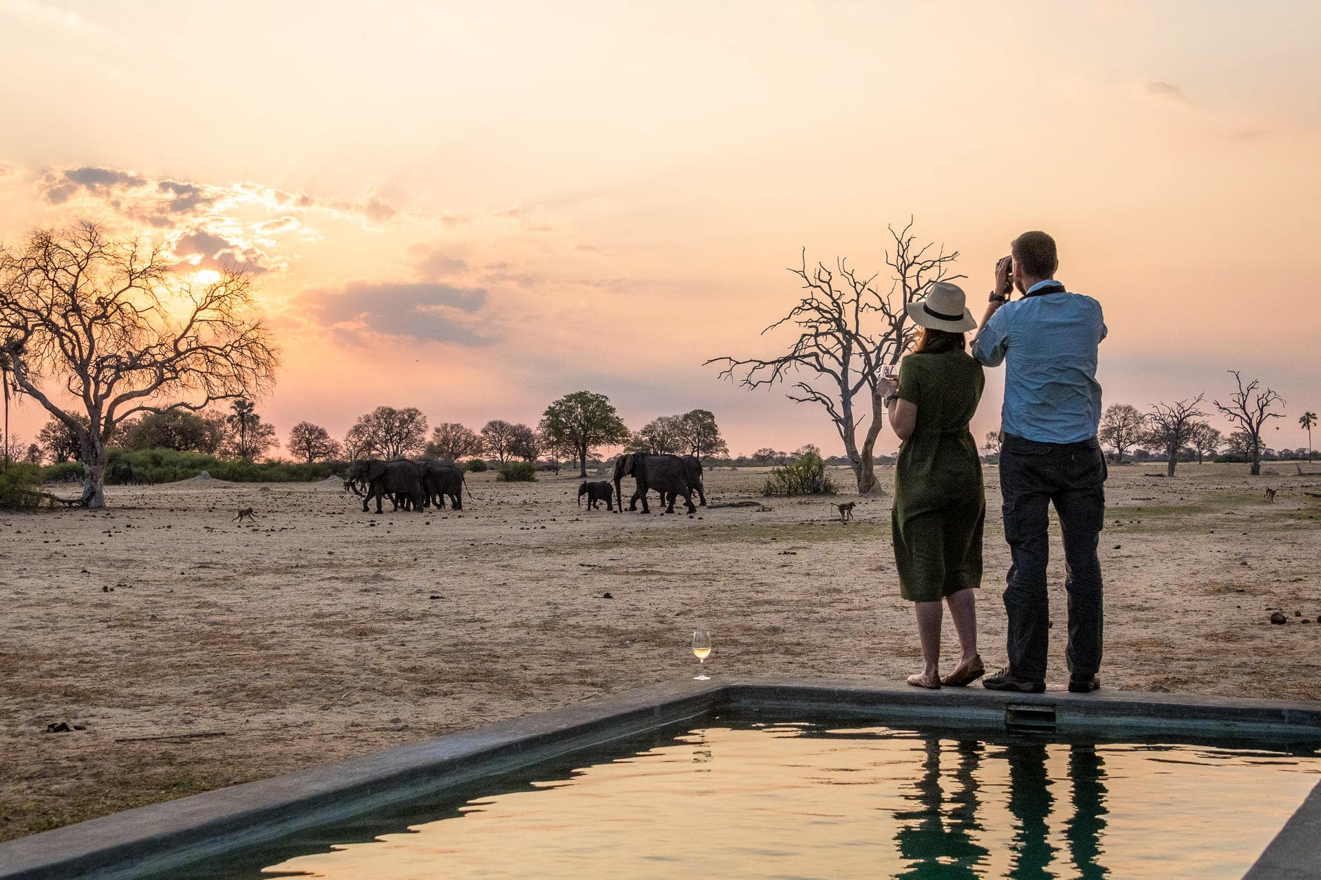 Couple watching elephants during an African safari honeymoon