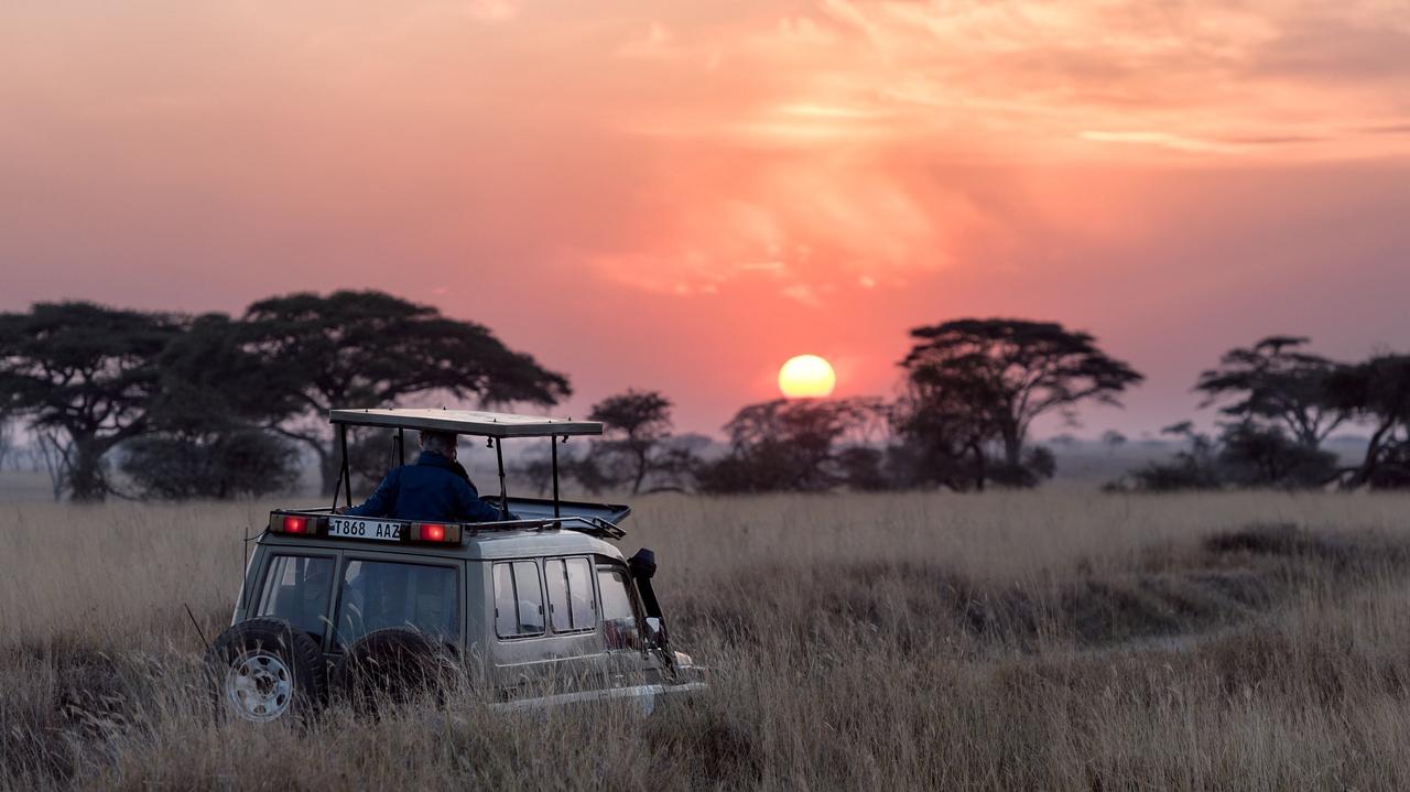 A 14-day journey represents the ultimate safari honeymoon itineraries experience, offering depth, variety, and a truly immersive pace.