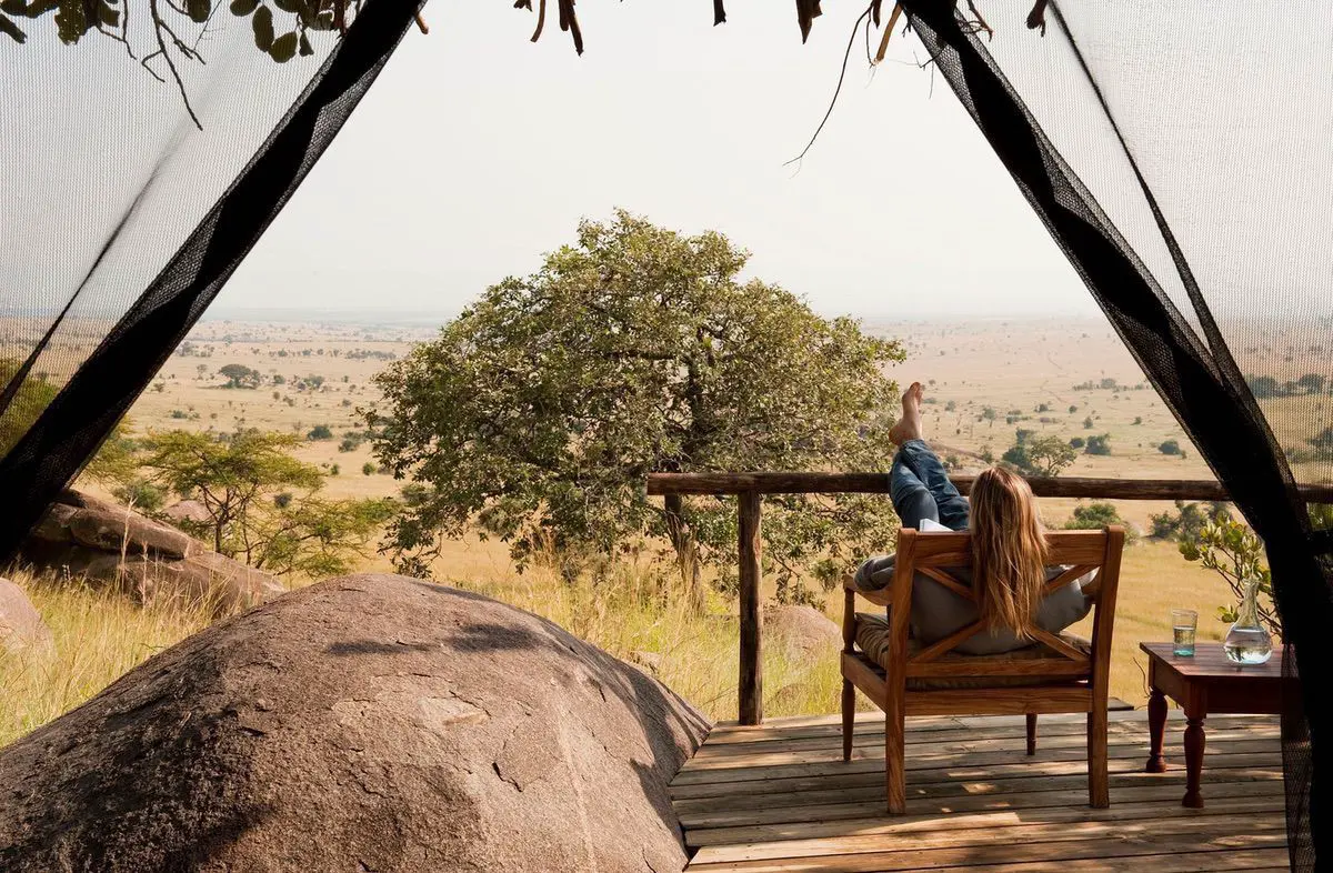 Safari and Beach Honeymoon Experience