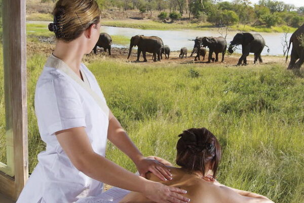 6 Days Uganda Gorilla Trekking Honeymoon Safari (Romantic Luxury Escape)