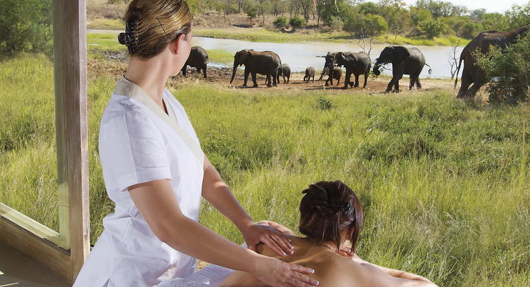 Safari Honeymoon Elephant Experience
