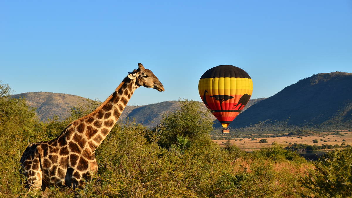 Hot Air Balloon Safaris in Africa