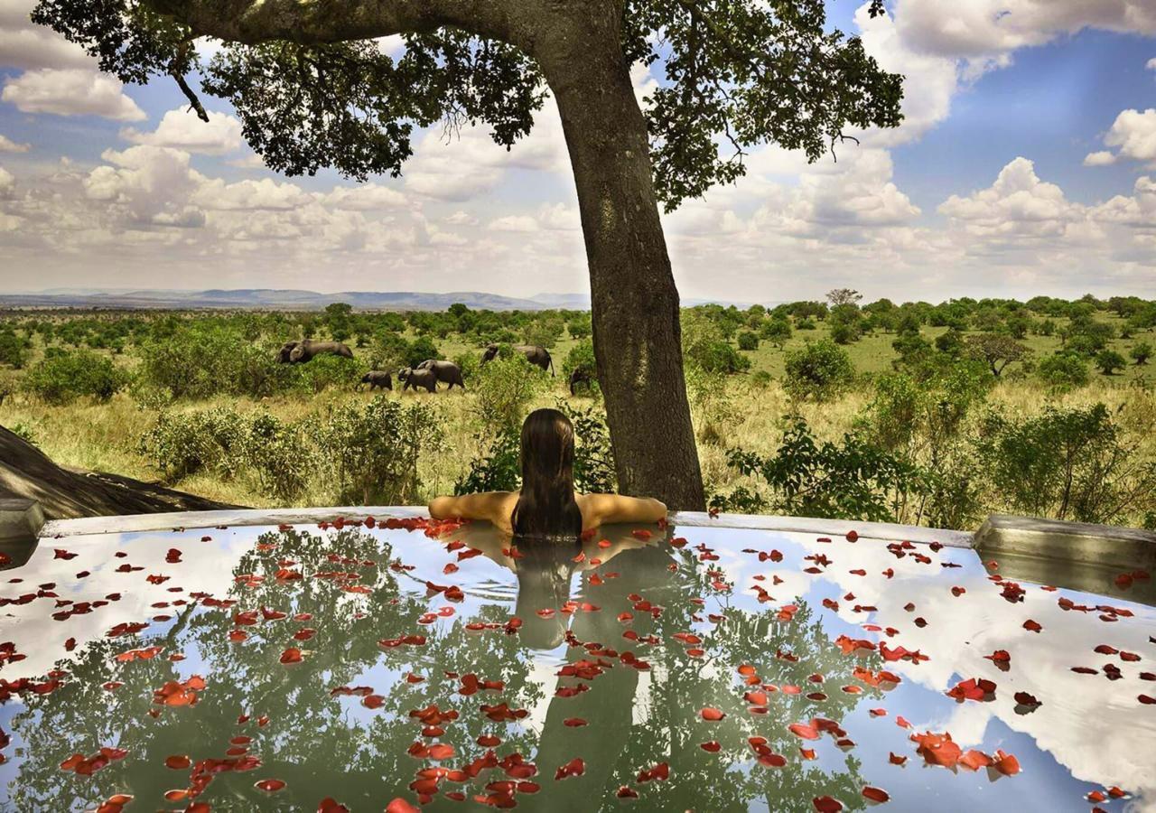 Luxury safari honeymoon pool view