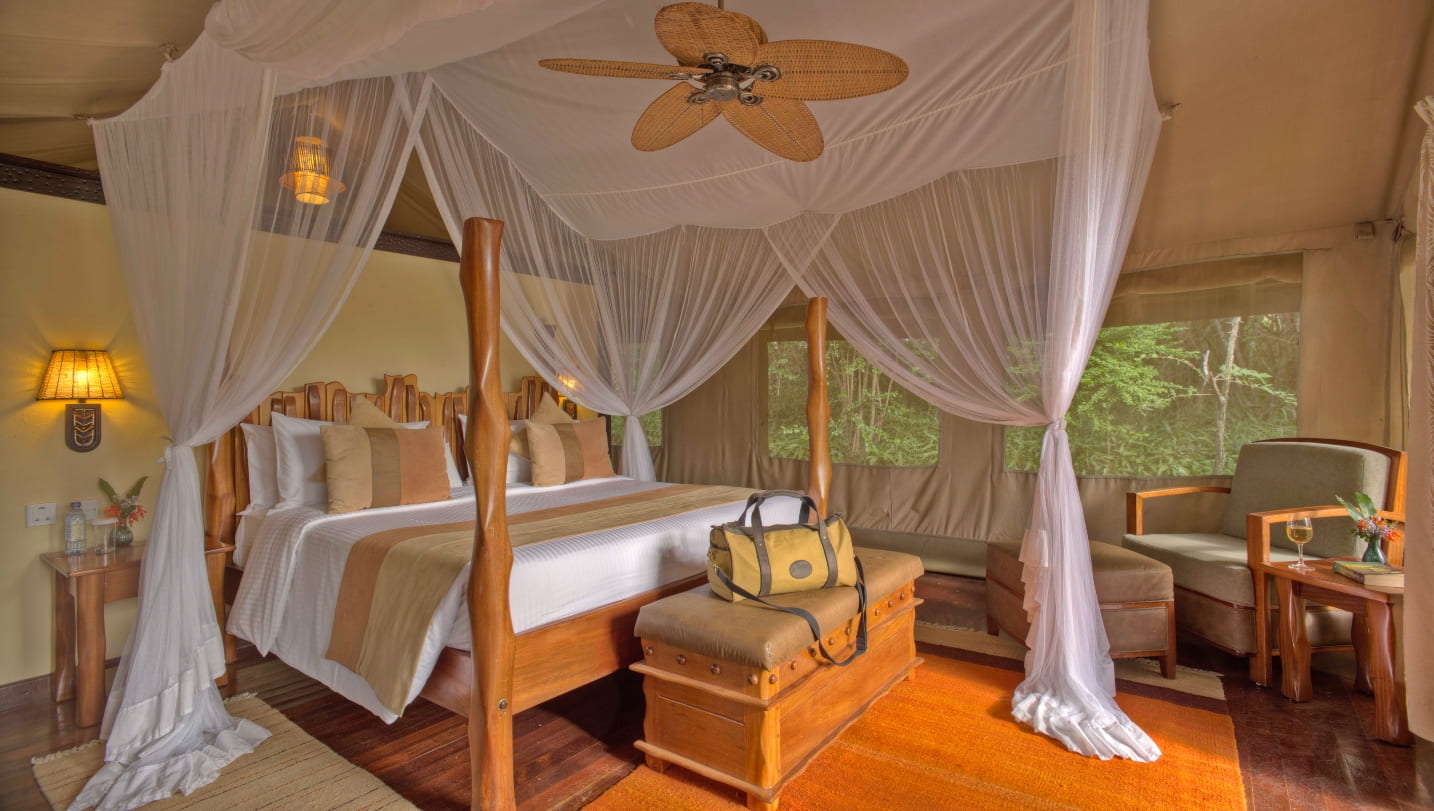 Luxury honeymoon safari bedroom
