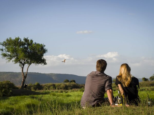 7 Days Gorilla Trekking and Tree Climbing Lions Honeymoon Safari (Luxury Romantic Escape)