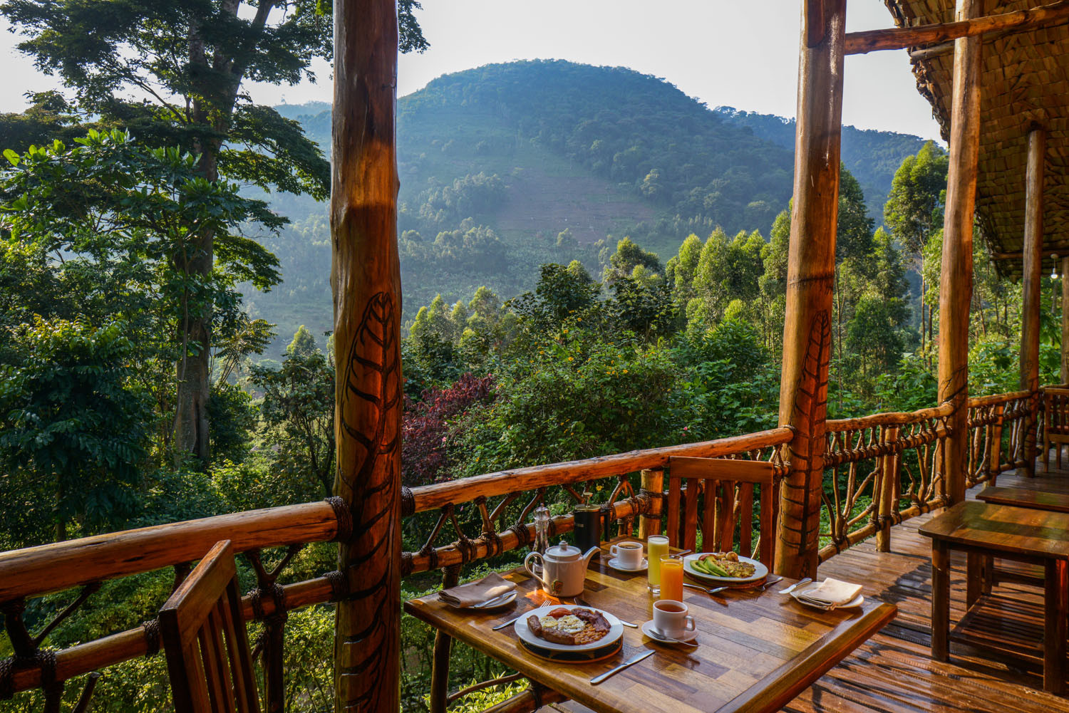 Mahogany Springs Lodge Bwindi forest view luxury safari Uganda