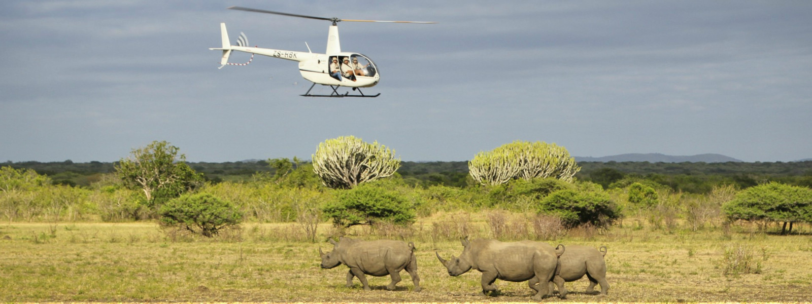 Private helicopter safari watching rhinos