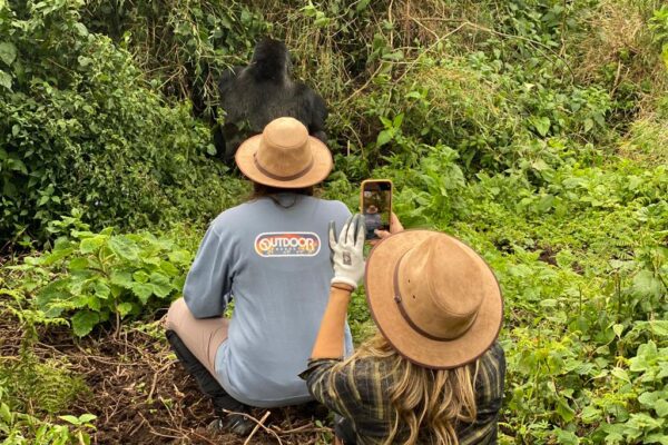 5 Days Uganda Gorilla Trekking Honeymoon Package (Luxury Romantic Escape)