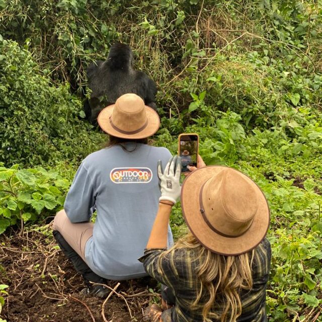 5 Days Uganda Gorilla Trekking Honeymoon Package (Luxury Romantic Escape)