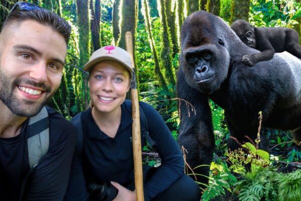 3 Days Rwanda Gorilla Trekking Honeymoon Package