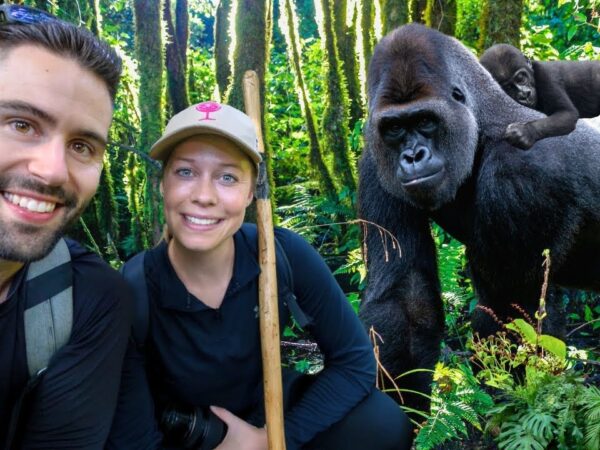 3 Days Rwanda Gorilla Trekking Honeymoon Package