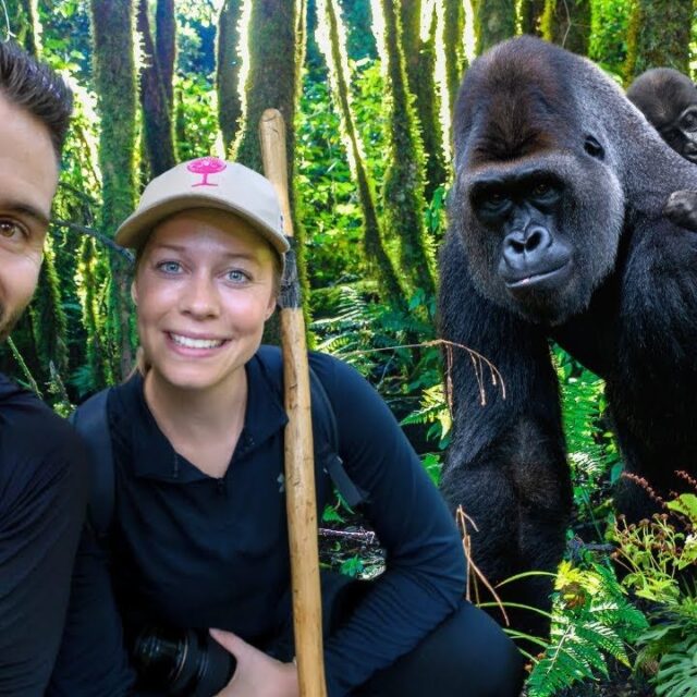3 Days Rwanda Gorilla Trekking Honeymoon Package