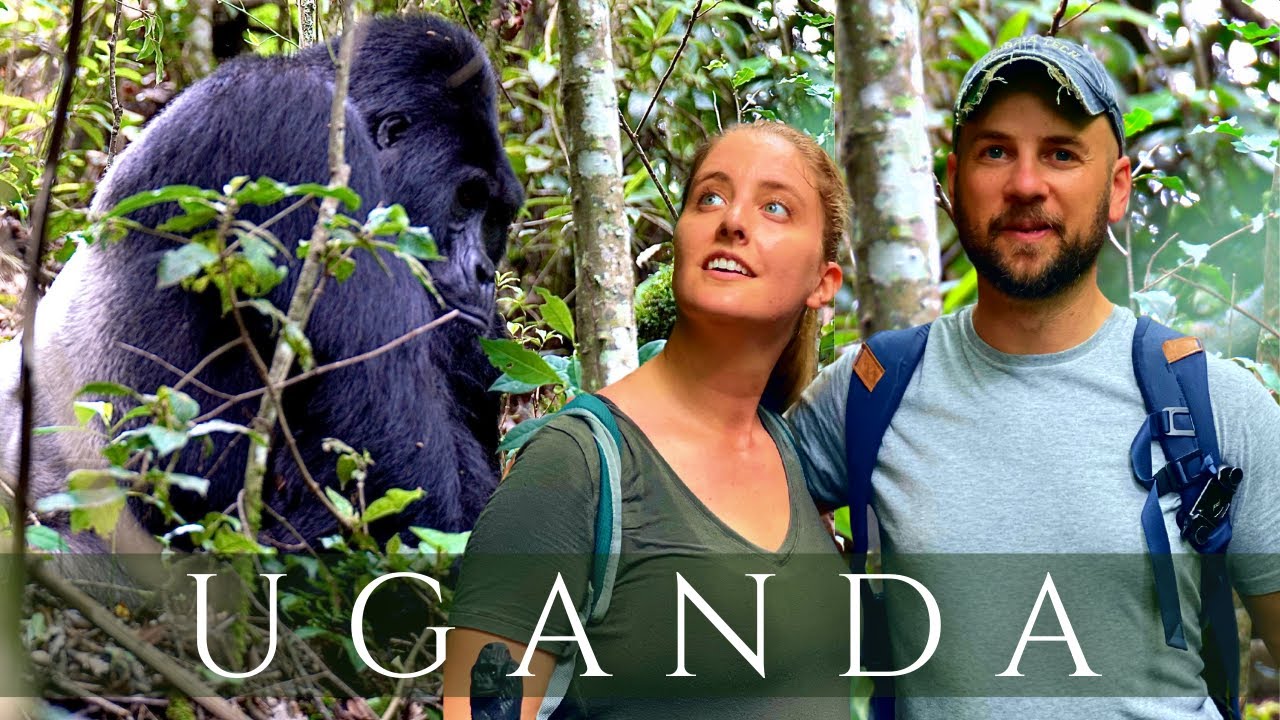 Uganda gorilla trekking honeymoon experience