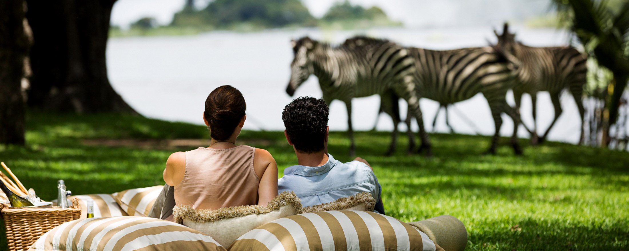 Victoria Falls Luxury Picnic with Zebras