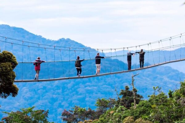 8 Days Rwanda Romantic Safari (Gorillas and Nyungwe Forest)