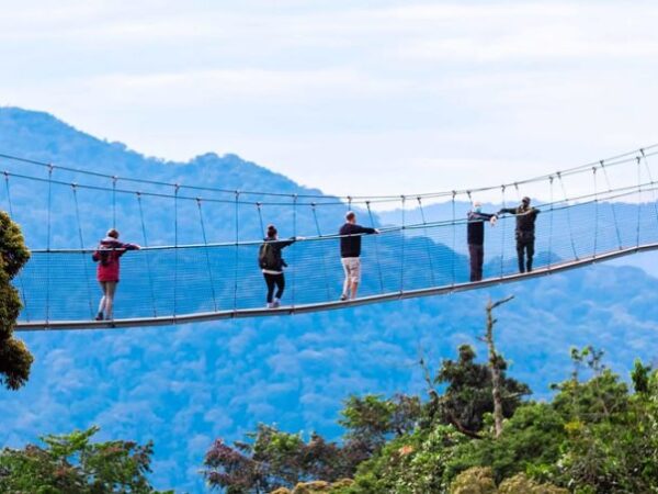 8 Days Rwanda Romantic Safari (Gorillas and Nyungwe Forest)