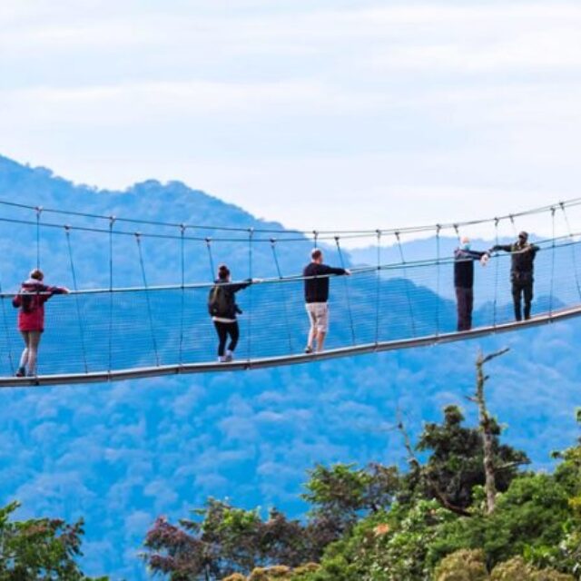 8 Days Rwanda Romantic Safari (Gorillas and Nyungwe Forest)