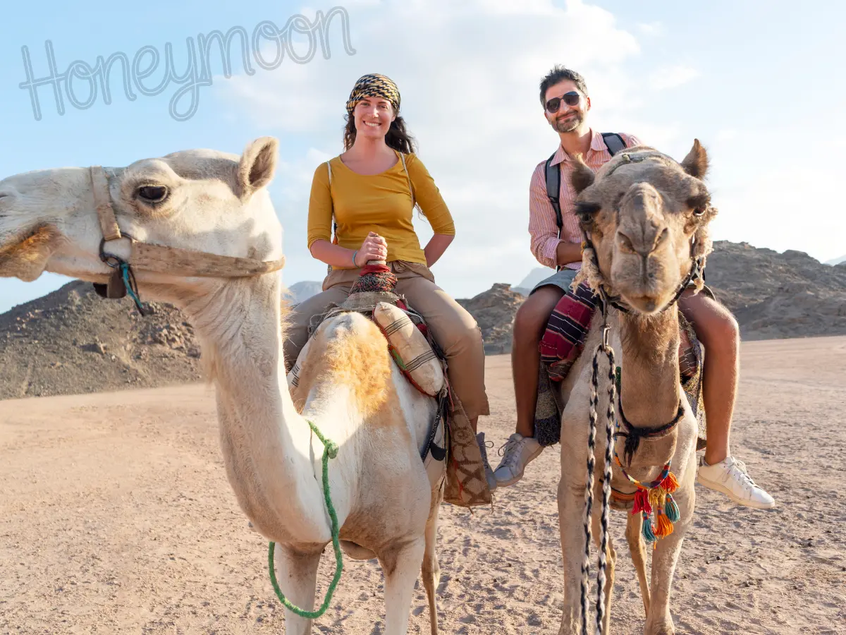 Namibia honeymoon safari image