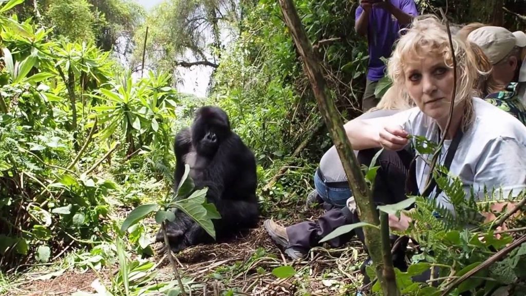 Gorilla trekking honeymoon couple experience