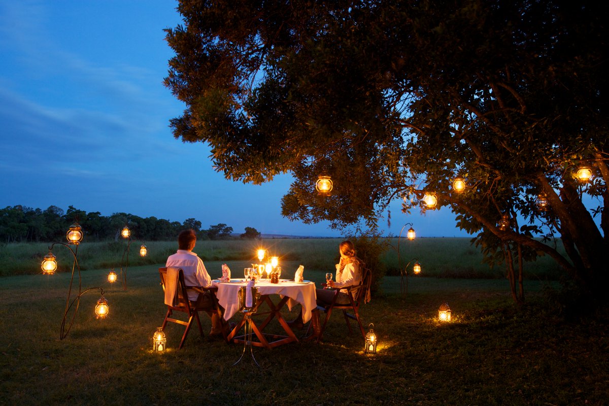 Honeymoon bush dinner under the stars Africa