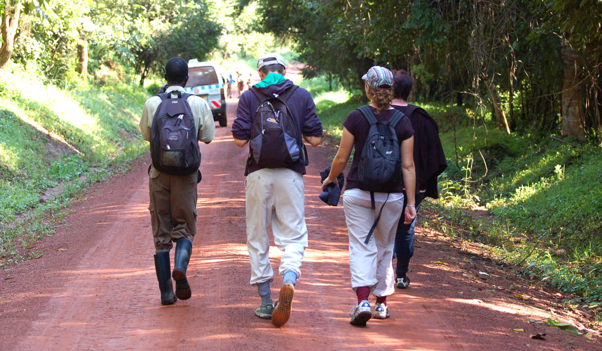 Safari Honeymoon Nature Walk Experience