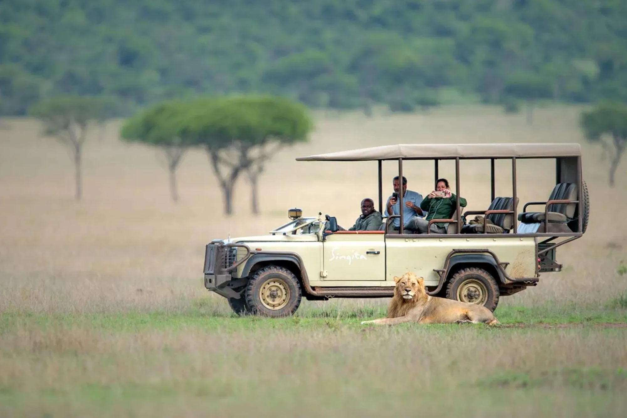 Timing is one of the most critical elements in planning a successful luxury safari honeymoon, as it directly influences wildlife visibility, weather conditions, and overall experience.
