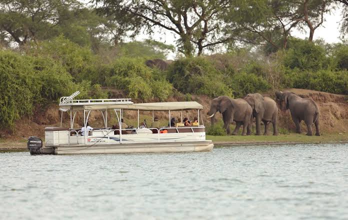 Boat Safari Watching Elephants