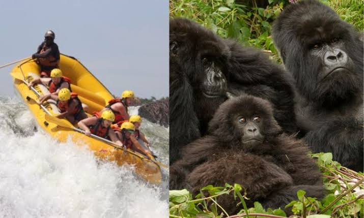 14 Days Ultimate Rwanda Honeymoon Safari Itinerary 1