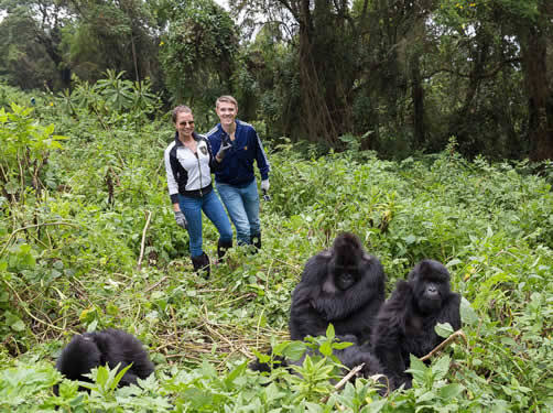 14 Days Ultimate Rwanda Honeymoon Safari Itinerary
