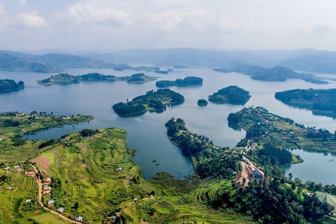 3 to 5 Day Honeymoon Gorilla Trekking and Lake Bunyonyi