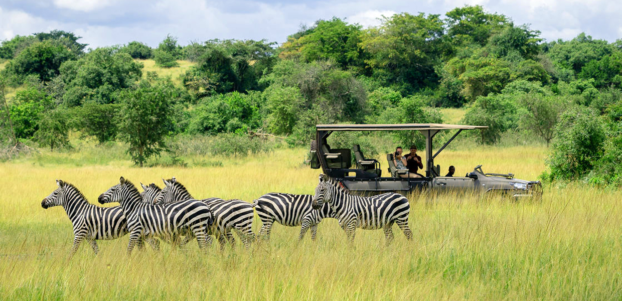 Akagera National Park 2