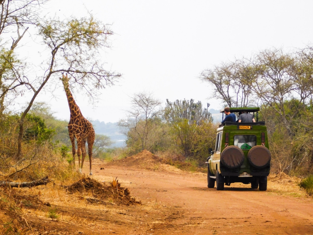 Best Time Rwanda Honeymoon Safaris 1