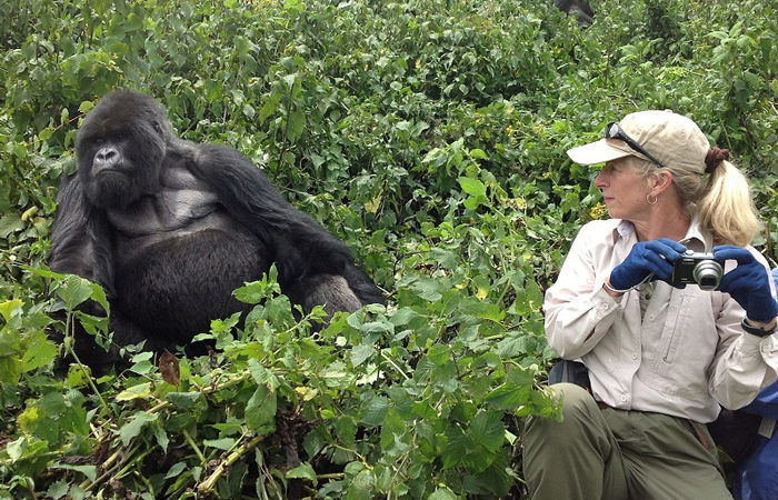 Best Time for a Gorilla Trekking Honeymoon in Rwanda