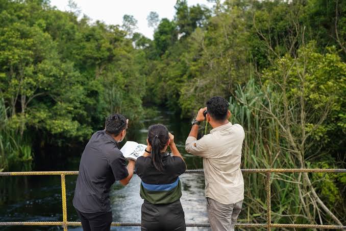 Birdwatching and Nature Exploration