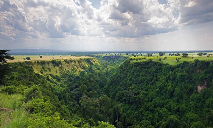 Combining Queen Elizabeth National Park with Gorilla Trekking
