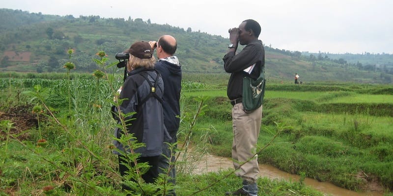 Customizing Affordable Rwanda Honeymoon Packages