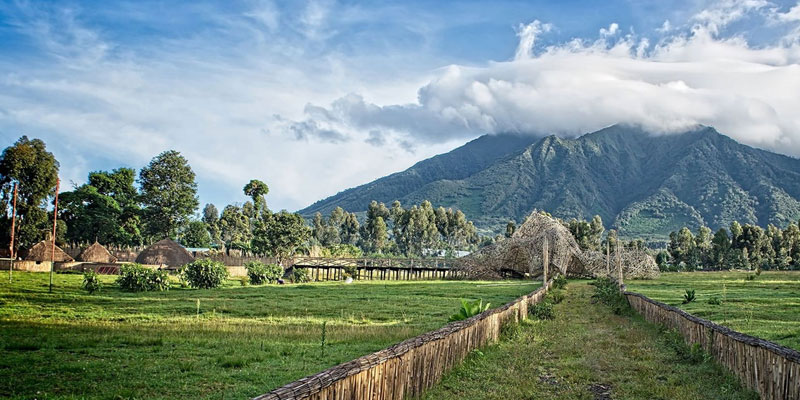 The dry seasons are the most popular time for Rwanda Gorilla 
