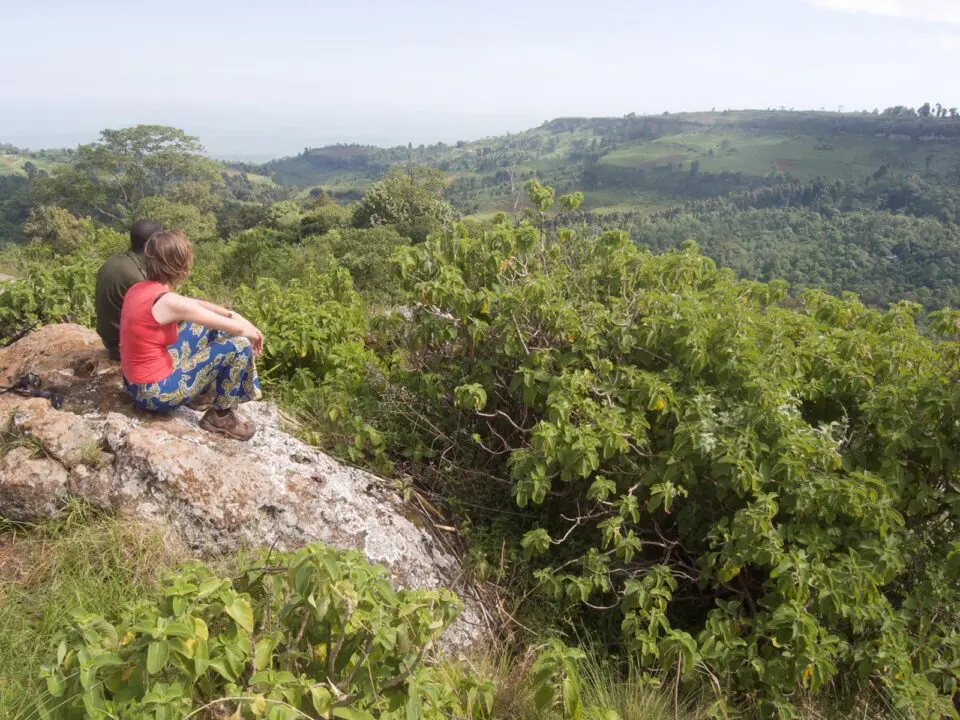 During the dry seasons, Uganda offers easier travel conditions and more predictable wildlife encounters. In destinations such as Queen Elizabeth National Park and Murchison Falls National Park, animals gather around water sources, creating unforgettable game viewing moments. Gorilla trekking in Bwindi 
