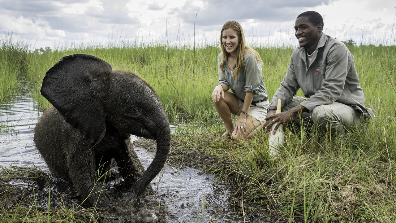 One of the most powerful elements of Luxury Rwanda Honeymoon Safaris is the emotional impact of gorilla trekking in Volcanoes National Park. Standing just a