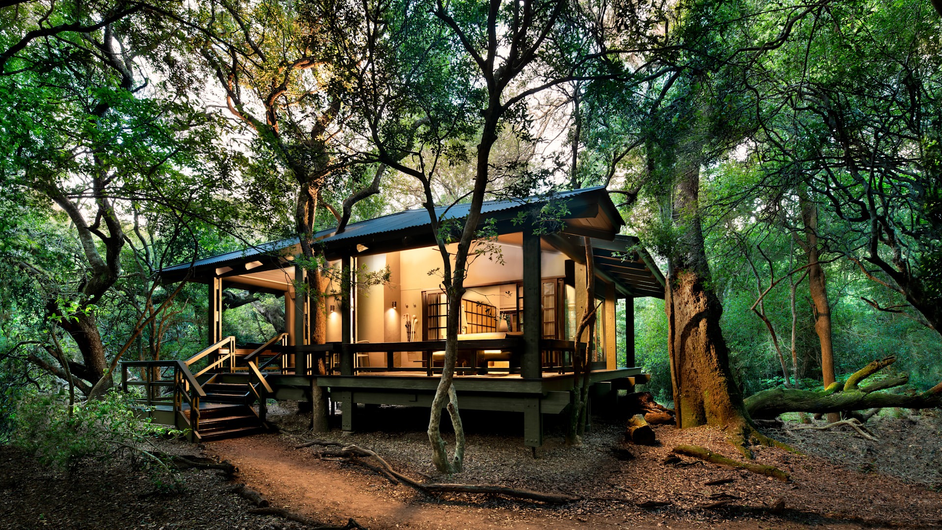Forest lodges are mainly found in Bwindi Impenetrable National Park and Kibale Forest National Park, offering couples a deeply immersive rainforest 