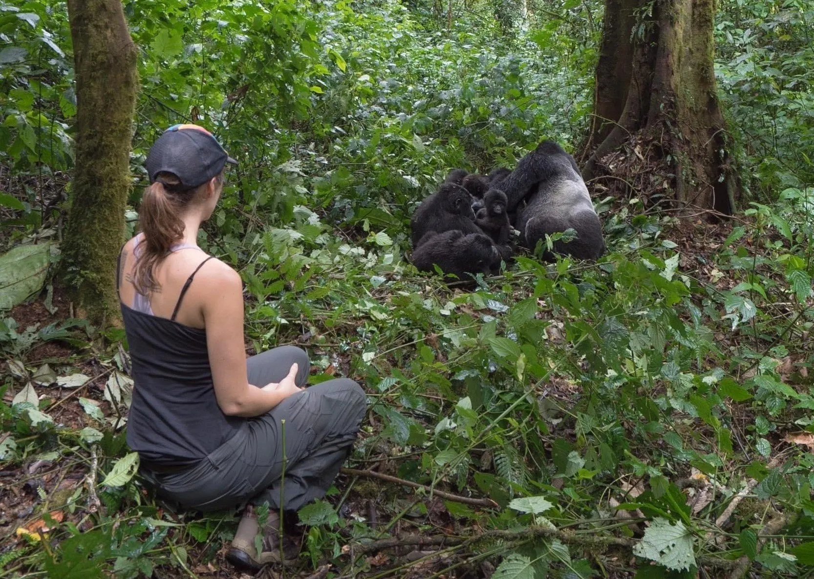 Gorilla Trekking Conditions Throughout the Year 1