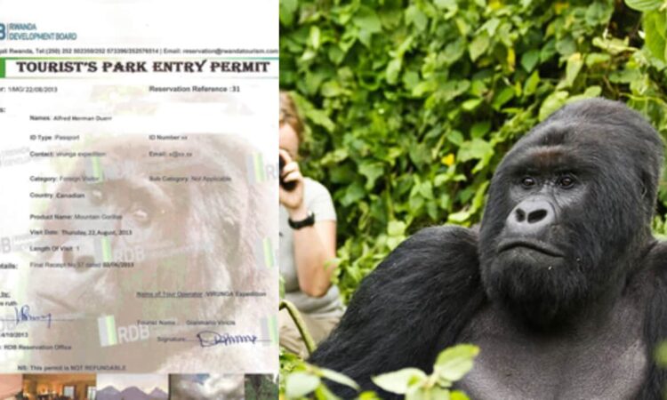 The Rwanda Honeymoon Safari Cost is heavily influenced by gorilla trekking 